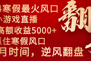 2024年最火寒假风口项目 小游戏直播 单场收益5000+抓住风口 一个月直接提车