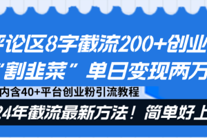 评论区8字截流200+创业粉“割韭菜”单日变现两万+24年截流最新方法！