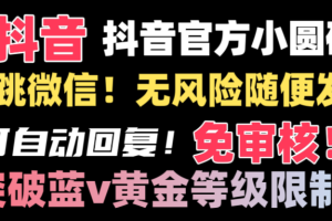 抖音二维码直跳微信技术！站内随便发不违规！！