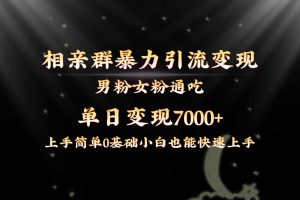 全网首发相亲群暴力引流男粉女粉通吃变现玩法，单日变现7000+保姆教学1.0