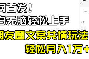 小白轻松无脑上手，朋友圈共情文案玩法，月入1W+