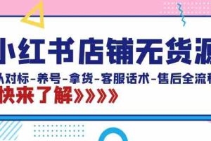 小红书店铺无货源：从对标-养号-拿货-客服话术-售后全流程（20节课）