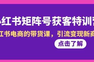 小红书-矩阵号获客特训营-第10期，小红书电商的带货课，引流变现新商机