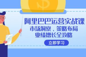 阿里巴巴运营实战课：市场洞察、策略布局、业绩增长全攻略