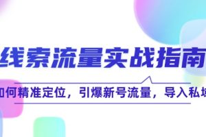 线 索 流 量-实战指南：如何精准定位，引爆新号流量，导入私域