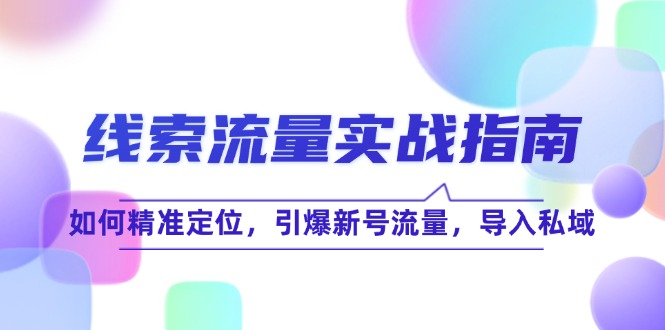 线 索 流 量-实战指南：如何精准定位，引爆新号流量，导入私域插图