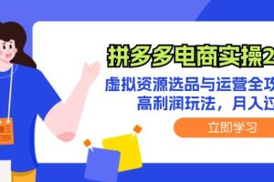 拼多多电商实操2.0：虚拟资源选品与运营全攻略，高利润玩法，月入过万