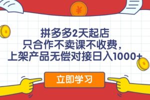 拼多多0成本开店，只合作不卖课不收费，0成本尝试，日赚千元+