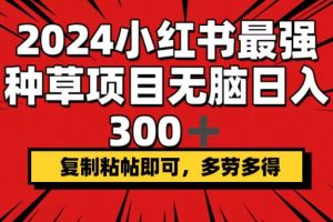 2024小红书最强种草项目，无脑日入300+，复制粘帖即可，多劳多得