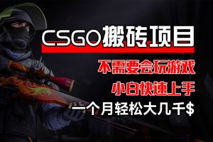 CSGO 装备搬砖项目，操作简单，不需要会玩游戏，小白也能快速上手，一…