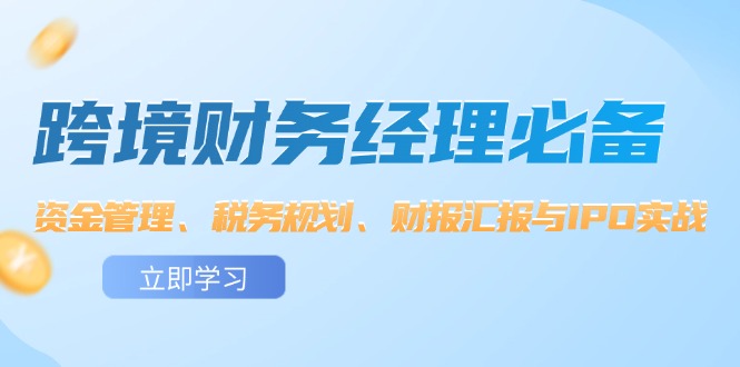 跨境 财务经理必备：资金管理、税务规划、财报汇报与IPO实战插图