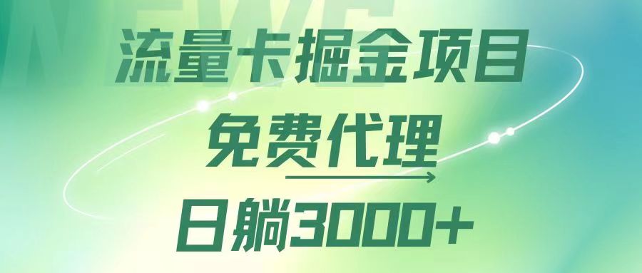 流量卡掘金代理，日躺赚3000+，变现暴力，多种推广途径插图