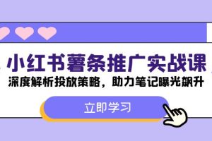 小红书-薯 条 推 广 实战课：深度解析投放策略，助力笔记曝光飙升