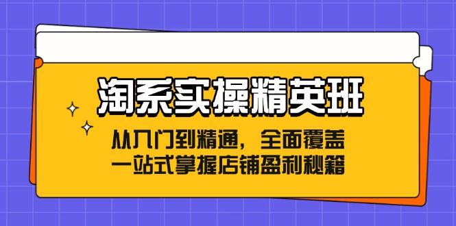 淘系实操精英班：从入门到精通，全面覆盖，一站式掌握店铺盈利秘籍插图