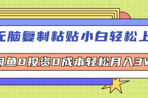 无脑复制粘贴，小白轻松上手，电商0投资0成本轻松月入3W+