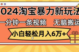 一分钟一条视频，无脑搬运，小白轻松月入6万+2024淘宝暴力新玩法，可批量