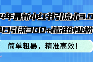 24年最新小红书引流术3.0，单日引流300+精准创业粉，简单粗暴，精准高效！