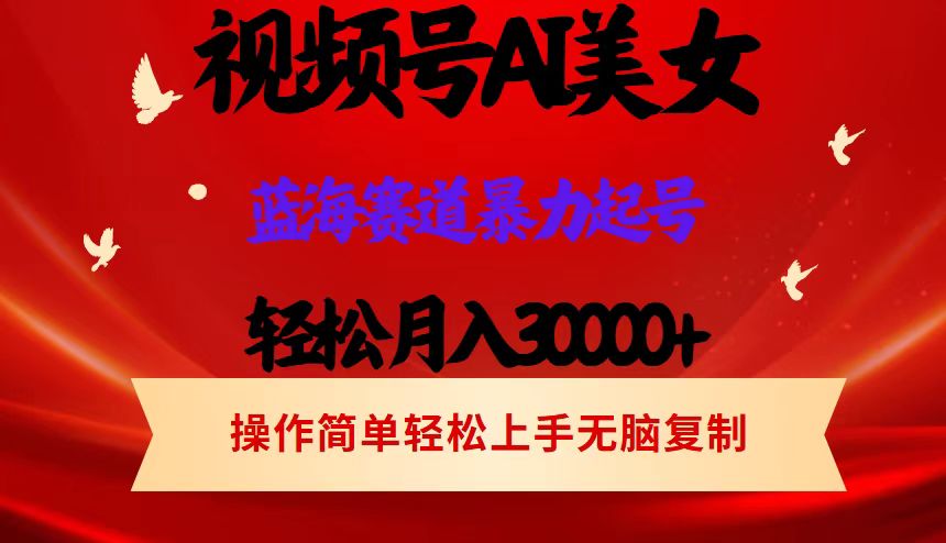 视频号AI美女跳舞，轻松月入30000+，蓝海赛道，流量池巨大，起号猛，当…插图