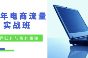 24年电商流量实战班：无界 红利与盈利策略，终极提升/关键词优化/精准…