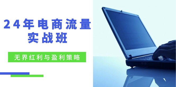 24年电商流量实战班：无界 红利与盈利策略，终极提升/关键词优化/精准…插图