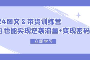 2024 图文+带货训练营，小白也能实现逆袭流量+变现密码