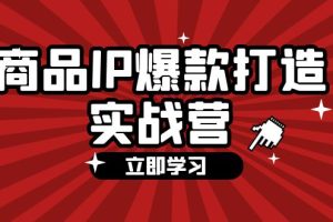 商品-IP爆款打造实战营【第四期】，手把手教你打造商品IP，爆款 不断