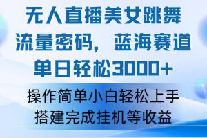 快手无人直播美女跳舞，轻松日入3000+，流量密码，蓝海赛道，上手简单…