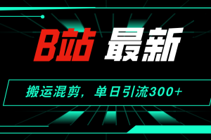 B站最新，搬运混剪，单日引流300+创业粉