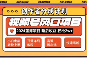 微信视频号大风口项目 轻松月入2w+ 多赛道选择，可矩阵，玩法简单轻松上手