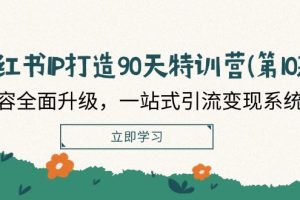 小红书-IP打造90天特训营(第10期)：内容全面升级，一站式引流变现系统课