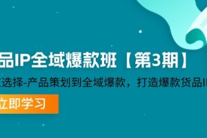 货品-IP全域爆款班【第3期】赛道选择-产品策划到全域爆款，打造爆款货品IP