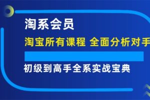 淘系会员【淘宝所有课程，全面分析对手】，初级到高手全系实战宝典