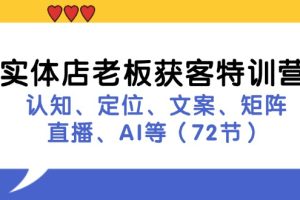 实体店老板获客特训营：认知、定位、文案、矩阵、直播、AI等（72节）