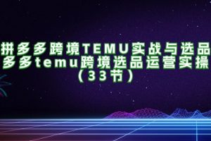 拼多多跨境TEMU实战与选品，多多temu跨境选品运营实操（33节）