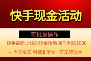 快手新活动项目！单账号利润1000+ 非常简单【可批量】（项目介绍＋项目…