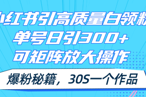 小红书引高质量白领粉，单号日引300+，可放大操作，爆粉秘籍！30s一个作品