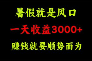 一天收益3000+ 赚钱就是顺势而为，暑假就是风口