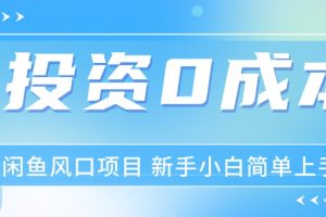 最新风口项目闲鱼空调3.0玩法，月入过万，真正的0成本0投资项目