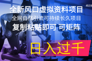 全新风口虚拟资料项目 全网自然引流可持续长久项目 复制粘贴即可可矩阵…