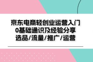 京东电商-轻创业运营入门0基础通识及经验分享：选品/流量/推广/运营