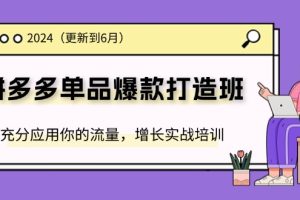 2024拼多多-单品爆款打造班(更新6月)，充分应用你的流量，增长实战培训