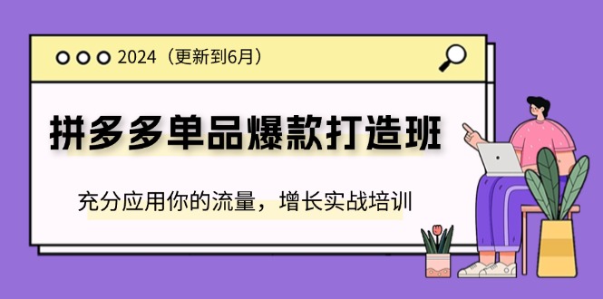 2024拼多多-单品爆款打造班(更新6月)，充分应用你的流量，增长实战培训插图