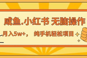 2024最赚钱的项目，咸鱼，小红书无脑操作，每单利润500+，轻松月入5万+…