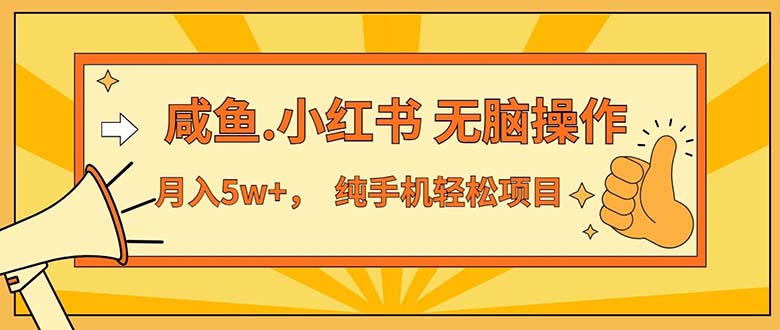 2024最赚钱的项目，咸鱼，小红书无脑操作，每单利润500+，轻松月入5万+…插图