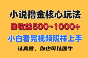 小说撸金核心玩法，日收益500-1000+，小白看完照样上手，0成本有手就行