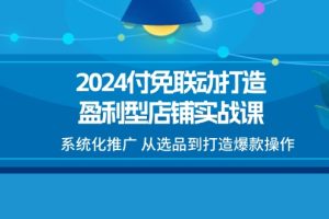 2024付免联动-打造盈利型店铺实战课，系统化推广 从选品到打造爆款操作