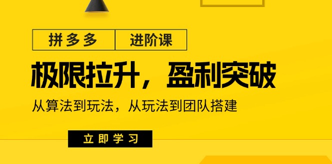 拼多多·进阶课：极限拉升/盈利突破：从算法到玩法 从玩法到团队搭建-18节插图