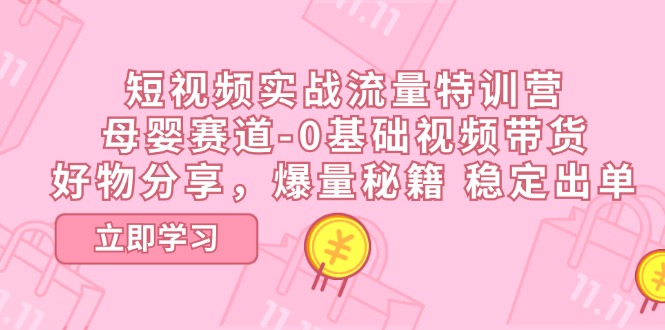 短视频实战流量特训营，母婴赛道-0基础带货，好物分享，爆量秘籍 稳定出单插图