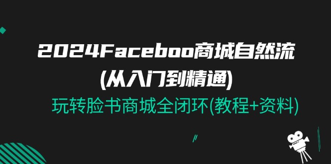 2024Faceboo 商城自然流(从入门到精通)，玩转脸书商城全闭环(教程+资料)插图