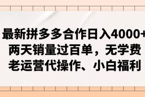 最新拼多多合作日入4000+两天销量过百单，无学费、老运营代操作、小白福利